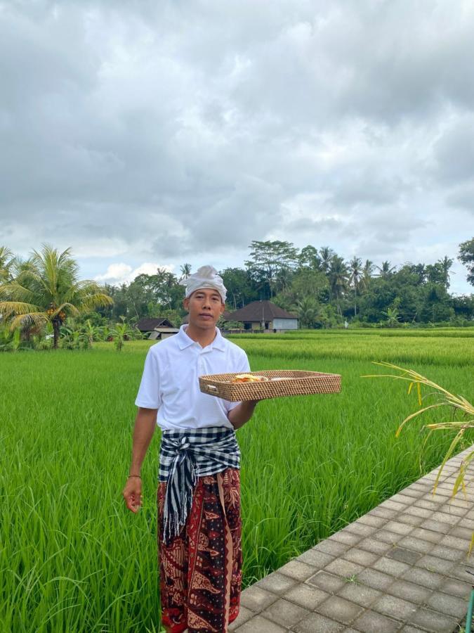 Ab Ubud Luxury Villa Luaran gambar